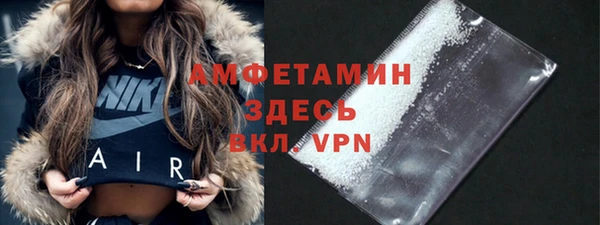 прущие грибы Нягань