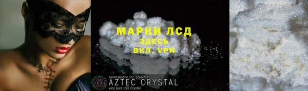 прущие грибы Нягань