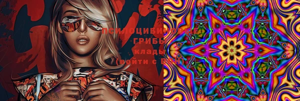 молекула духа Нязепетровск