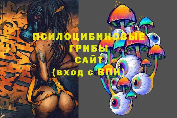 молекула духа Нязепетровск