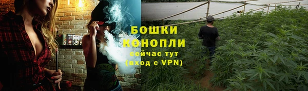 меф Няндома
