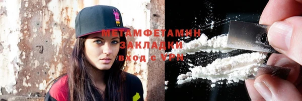 прущие грибы Нягань